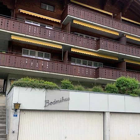 דירות Luxury, New - Amazing Views Grindelwald Eiger Jungfrau Moench מראה חיצוני תמונה