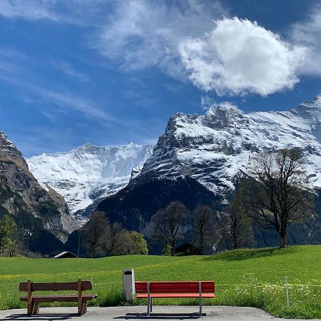 דירות Luxury, New - Amazing Views Grindelwald Eiger Jungfrau Moench מראה חיצוני תמונה