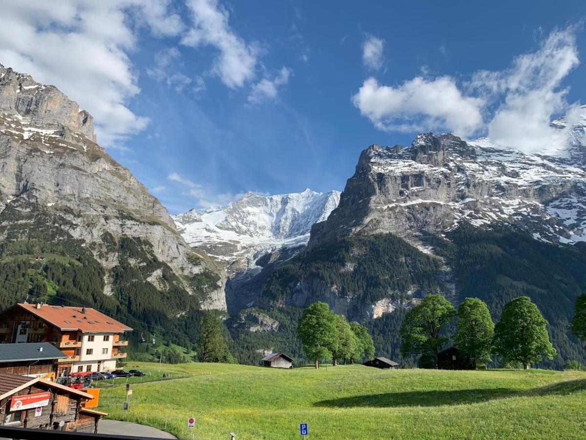 דירות Luxury, New - Amazing Views Grindelwald Eiger Jungfrau Moench מראה חיצוני תמונה