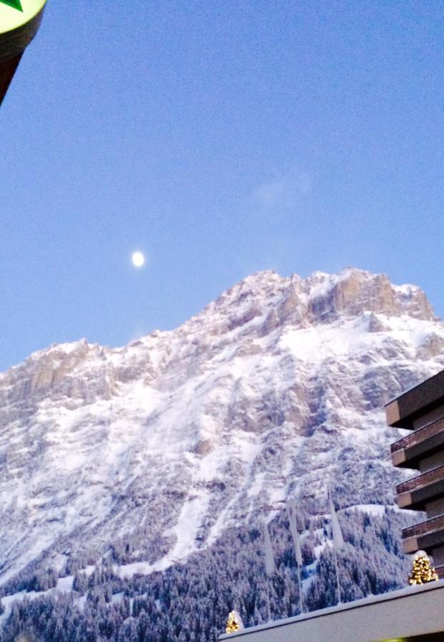 דירות Luxury, New - Amazing Views Grindelwald Eiger Jungfrau Moench מראה חיצוני תמונה