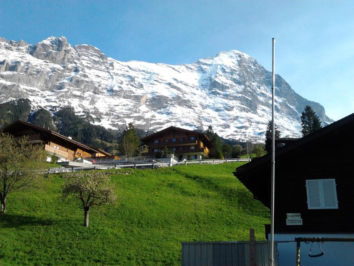 דירות Luxury, New - Amazing Views Grindelwald Eiger Jungfrau Moench מראה חיצוני תמונה