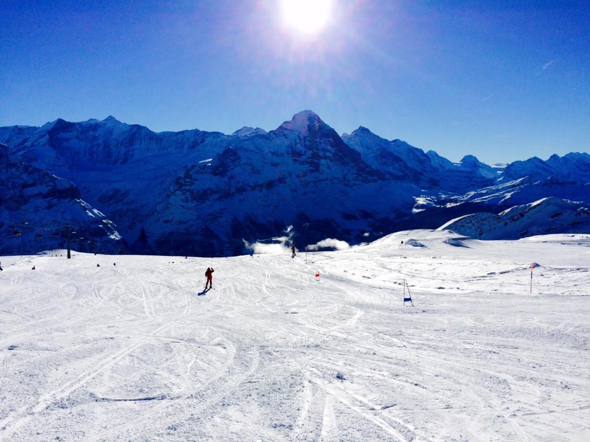 דירות Luxury, New - Amazing Views Grindelwald Eiger Jungfrau Moench מראה חיצוני תמונה