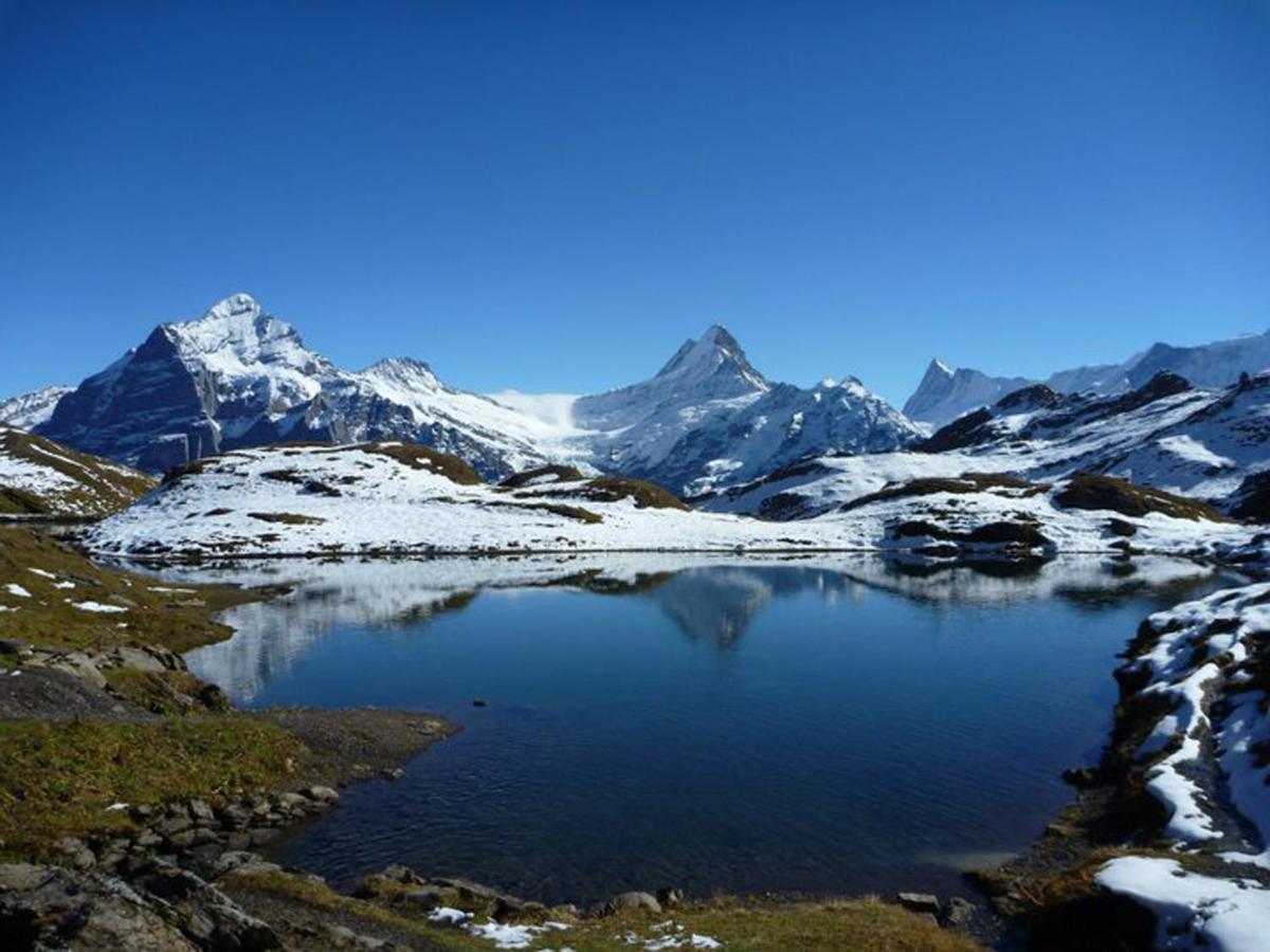 דירות Luxury, New - Amazing Views Grindelwald Eiger Jungfrau Moench מראה חיצוני תמונה