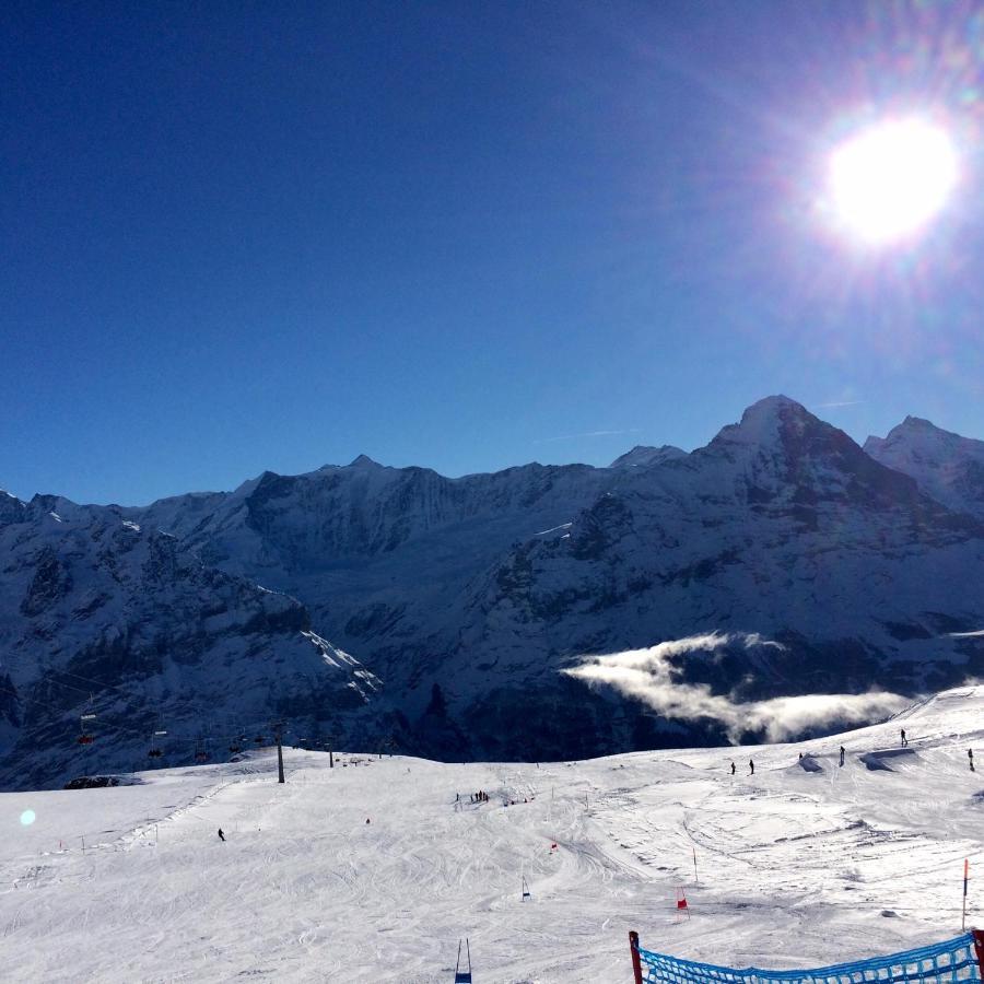דירות Luxury, New - Amazing Views Grindelwald Eiger Jungfrau Moench מראה חיצוני תמונה